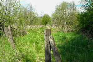 Schießstattwald|Schießstattwald