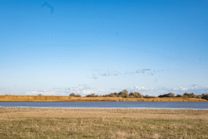 Salzlacken|Salzlacken