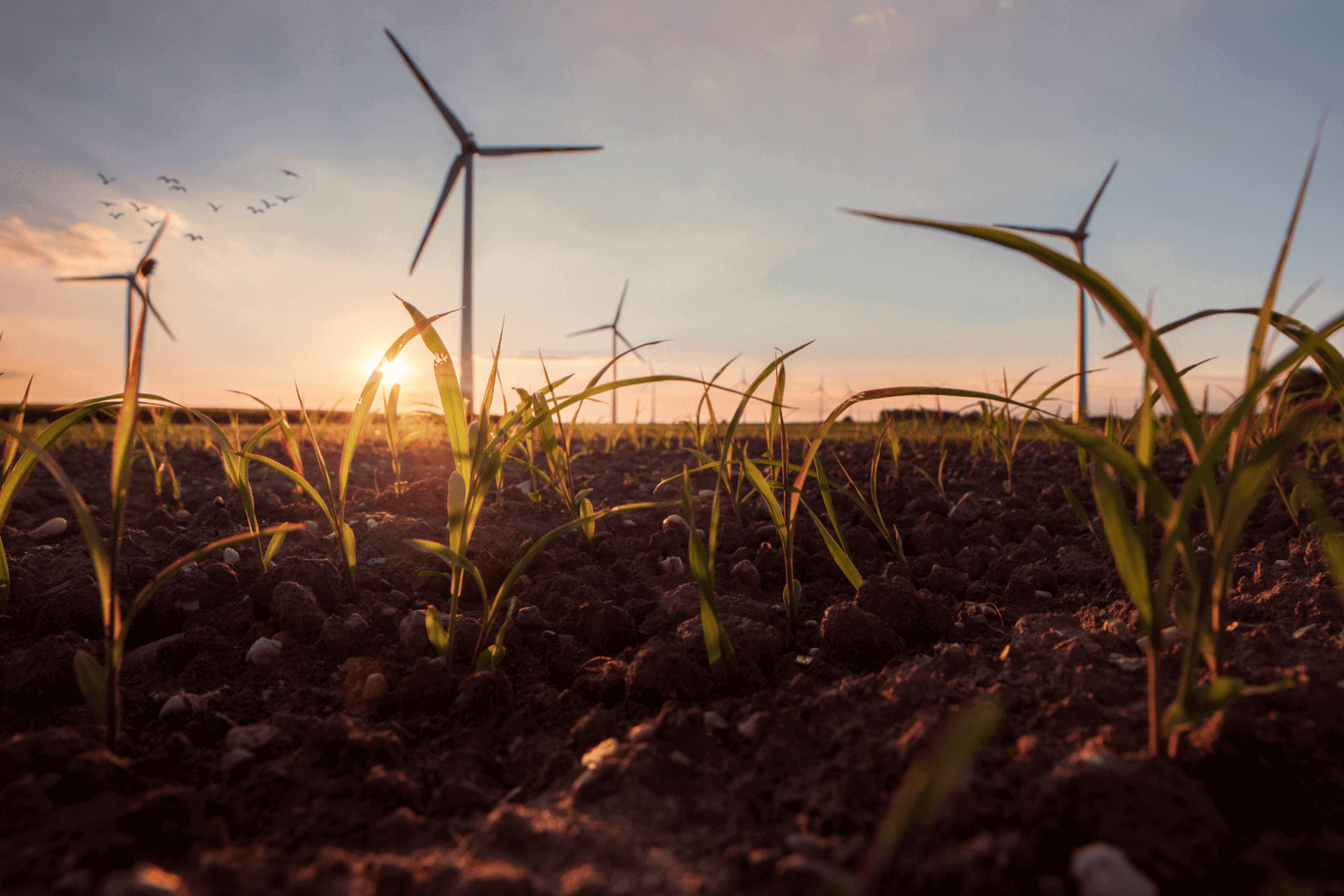Österreich verbessert Klimaschutz