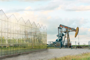 Gemüse Bohrlöcher|Gemüse Bohrlöcher|Gemüse Bohrlöcher|Gemüse Bohrlöcher|Gemüse Bohrlöcher