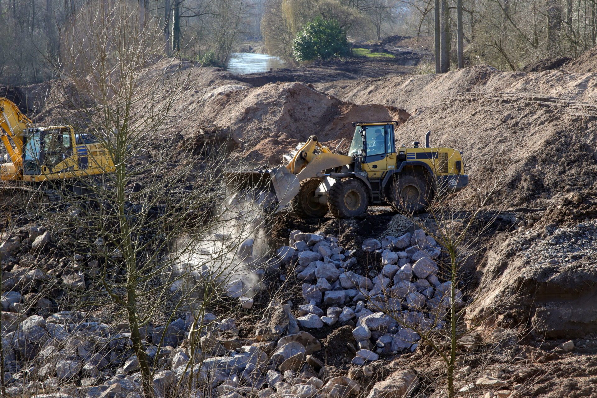 Renaturierung: Österreich hat Schlüsselrolle