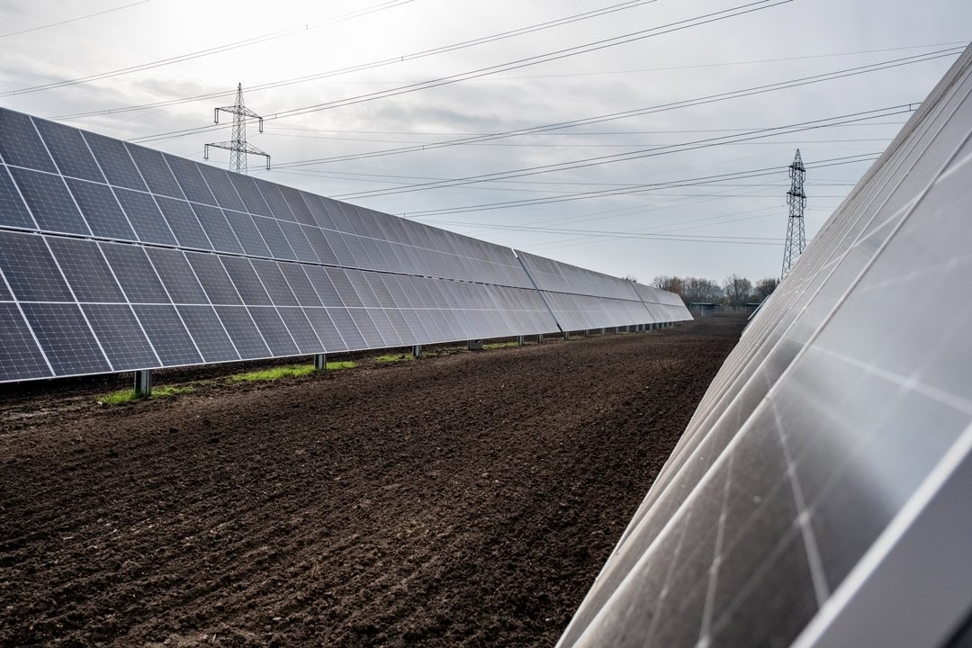 Energie vom Feld ernten